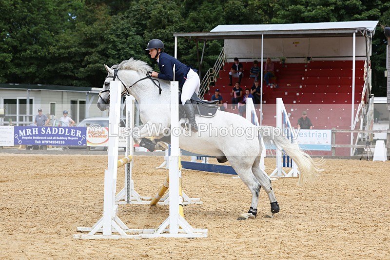 3E7A0102 - Class 9: Senior British Novice/90cm open