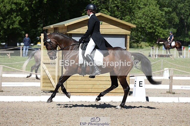 230526-102854-05265 - 361-FINCH_FANCY-Ben_Lee_Liles-WEDTrotUp+DR