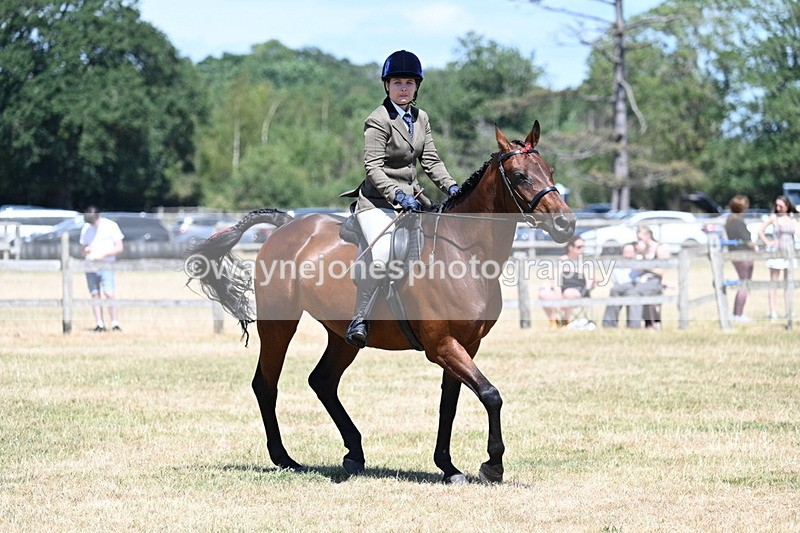 WJ7_3058 - Class 7 Riding Club Show Horse
