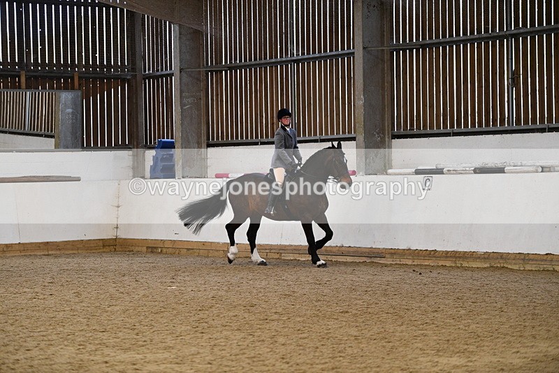WJ5_7687 - Class 13 Ridden Part Breed
