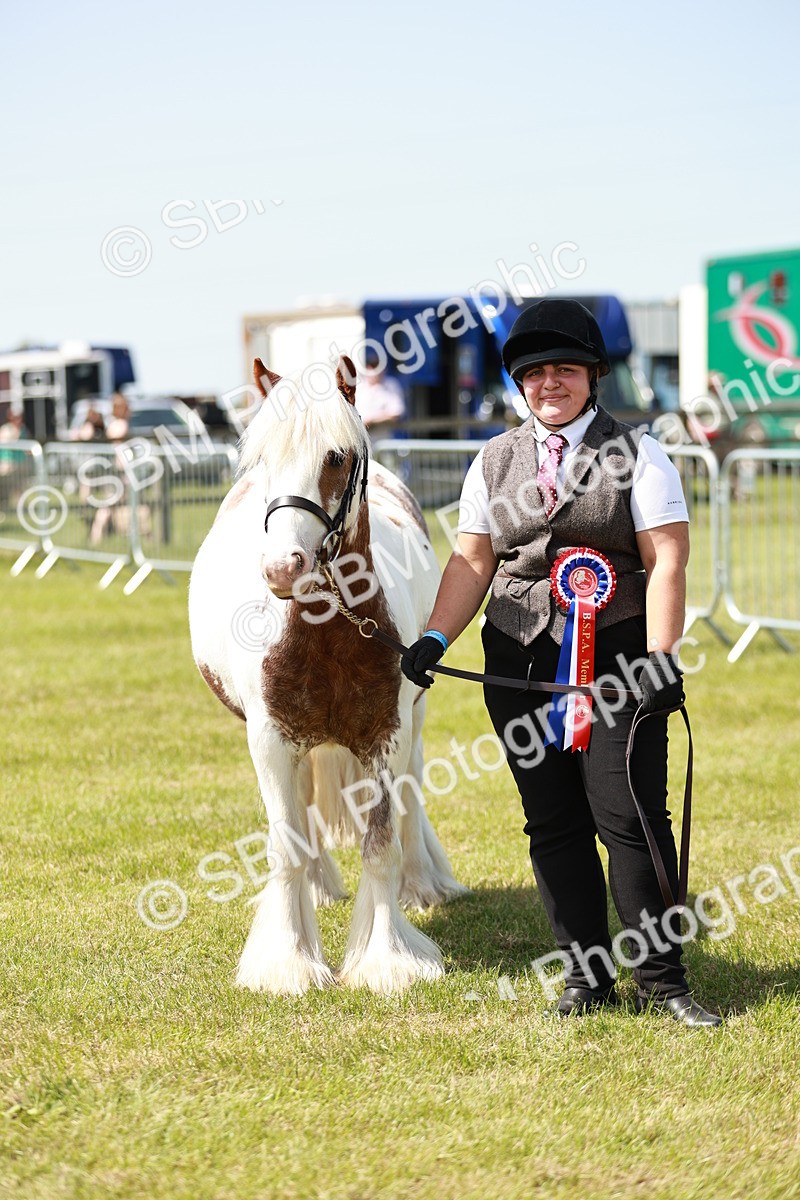 SBM_04292 - Class 39-40 - BSPA Coloured In Hand