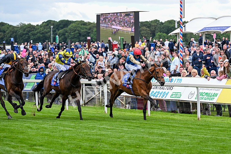 130626-Race 3-Gregory-1019 - Race 3 15.00pm Sky Bet Race To The Ebor Grand Cup Stakes