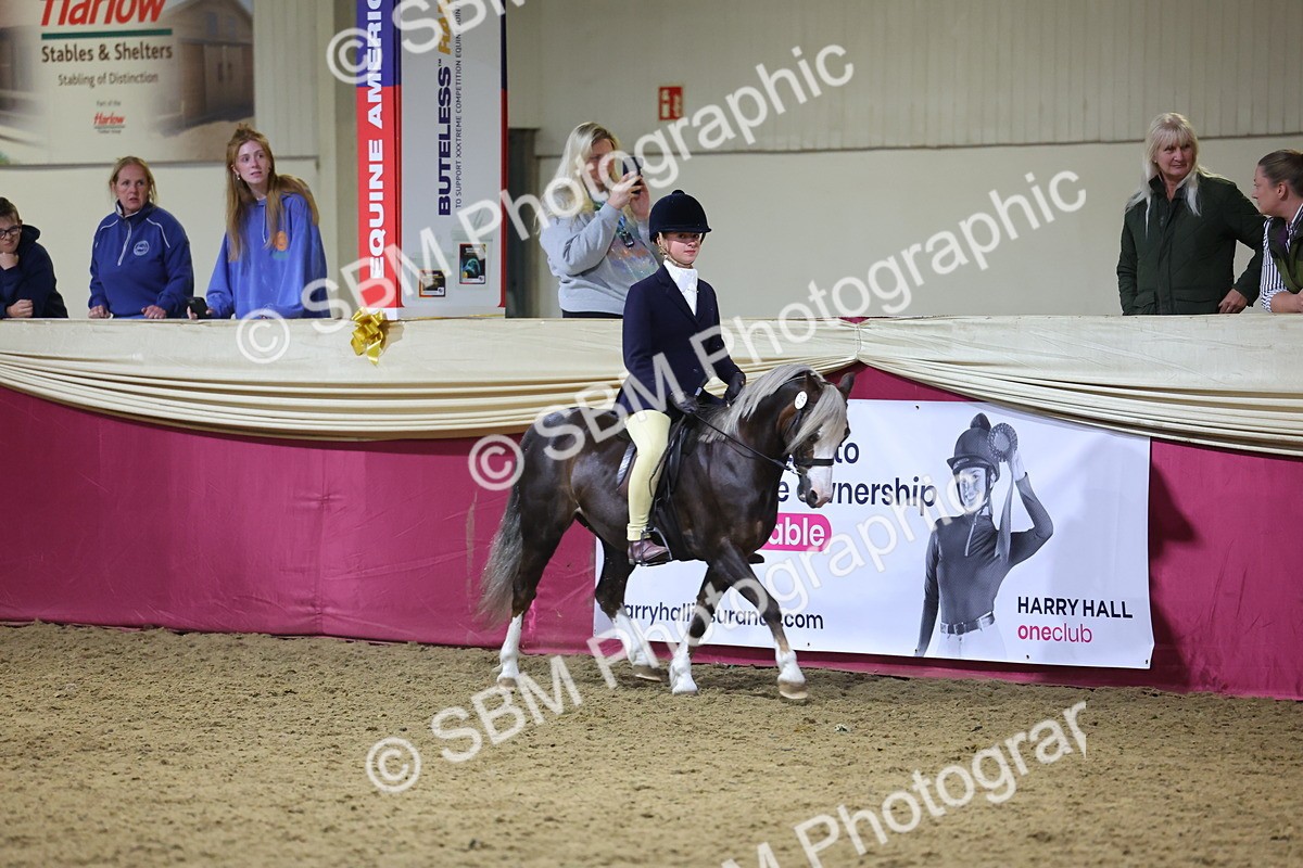 0B8A4632 - Class R Working Veteran Champ