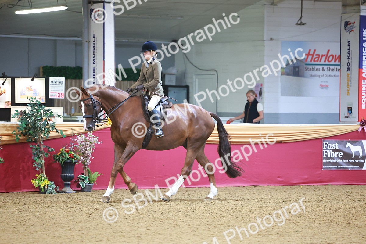 SBM_10658 - Class 103 - HOYS Veteran Qualifier - Ridden Pre Vet