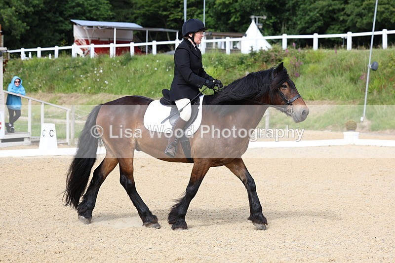 3E7A1373 - Class 1: Intro 2 2024 Section A