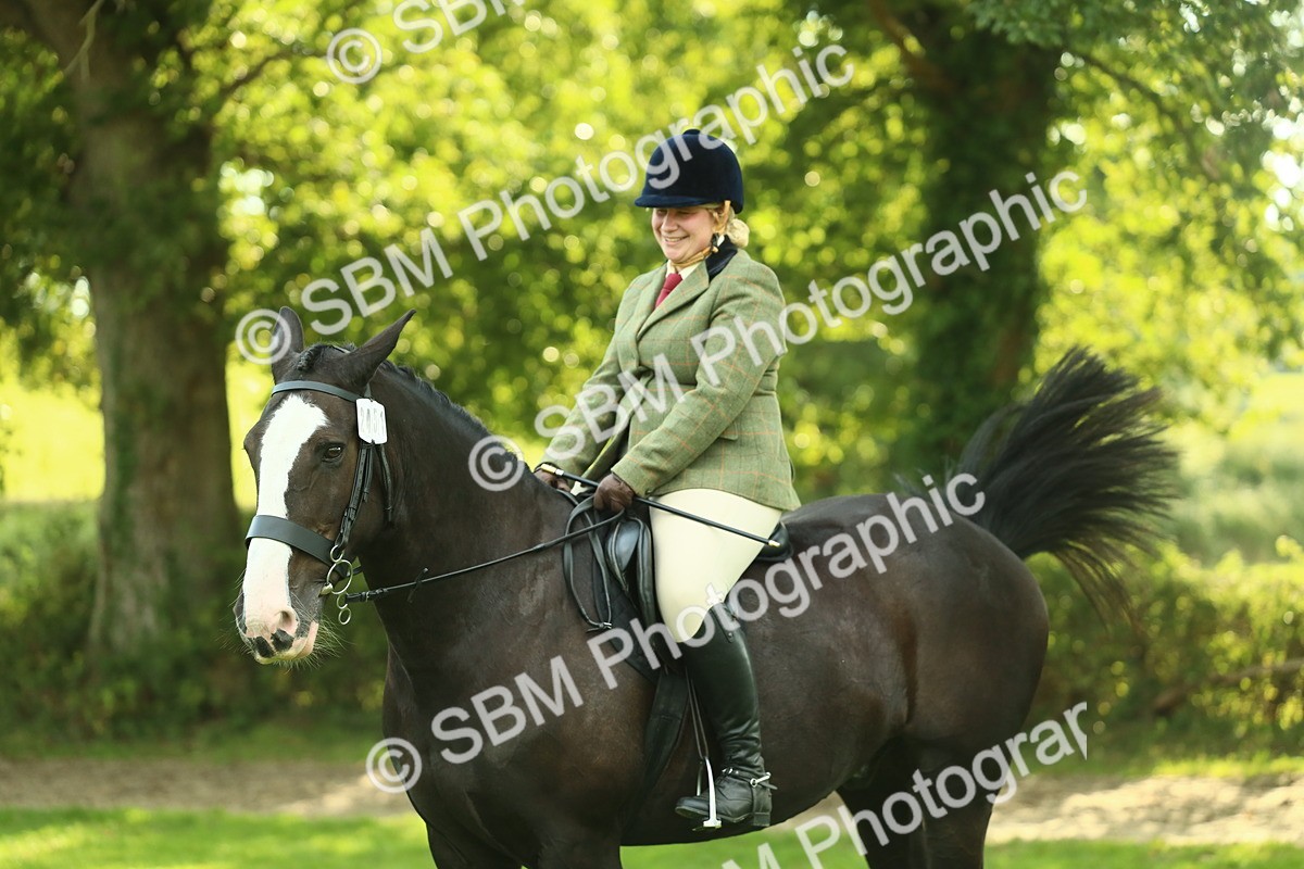 SBM_52169 - S33 - Working Hunter & Working Show Horse