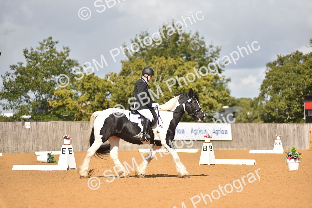 SBM_03129 - D4 - Small Tour Championship Intro 4