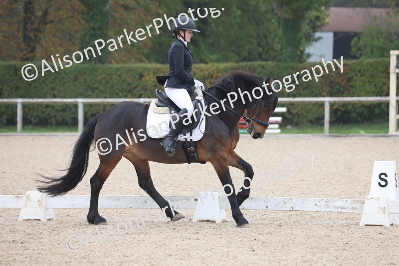 20251012-0534 - Class 4 - Novice 6