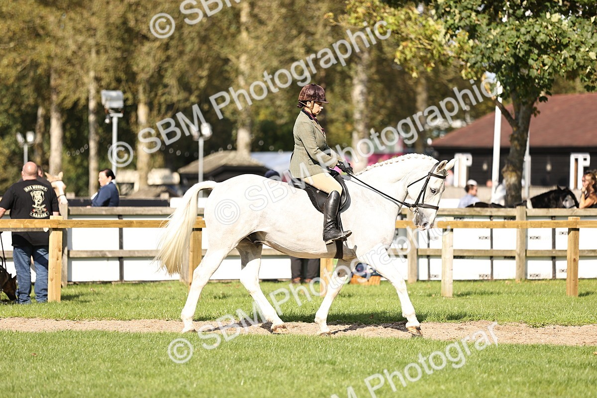 SBM_26334 - S6 - Novice & Newcomers Ridden Horse