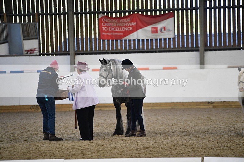 WJ5_5568 - Class 4 In hand M&M - small breeds