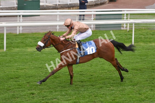 yr14052021r1-27 - Race 1 1.40pm Langleys Solicitors British EBF Marygate Fillies' Stakes