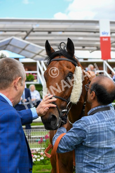 290723-Race 1-Soul Seeker-0345 - Race 1 2.05pm Sky Bet 'Jump Jockeys' Nunthorpe' Handicap