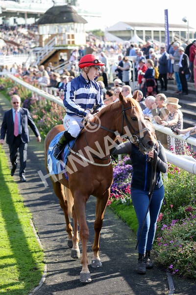 yr08102021r2-6 - Race 2 2.40pm Racing to School EBF Novice Stakes