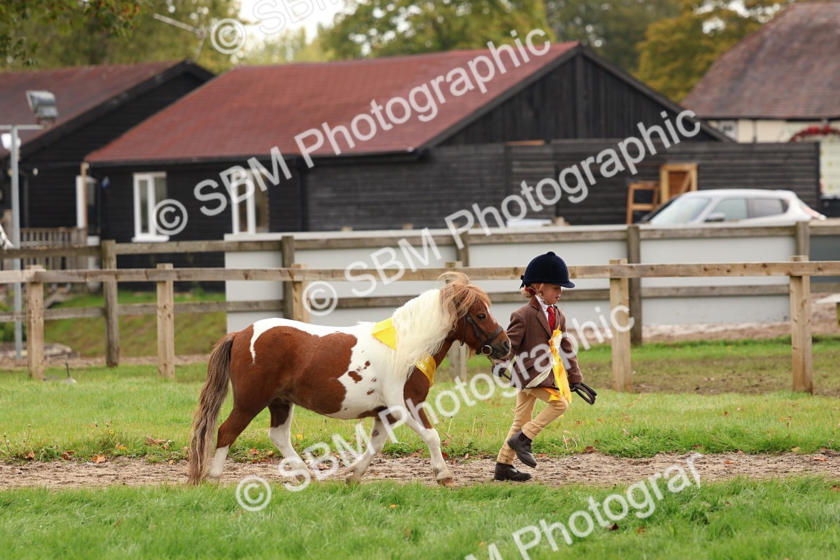 SBM_59772 - Start Supreme Championship