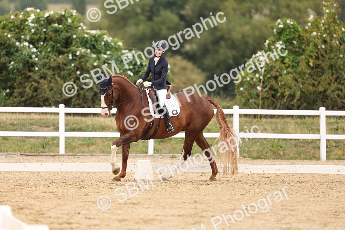SBM_01648 - Class 9 - Novice 27 Champs