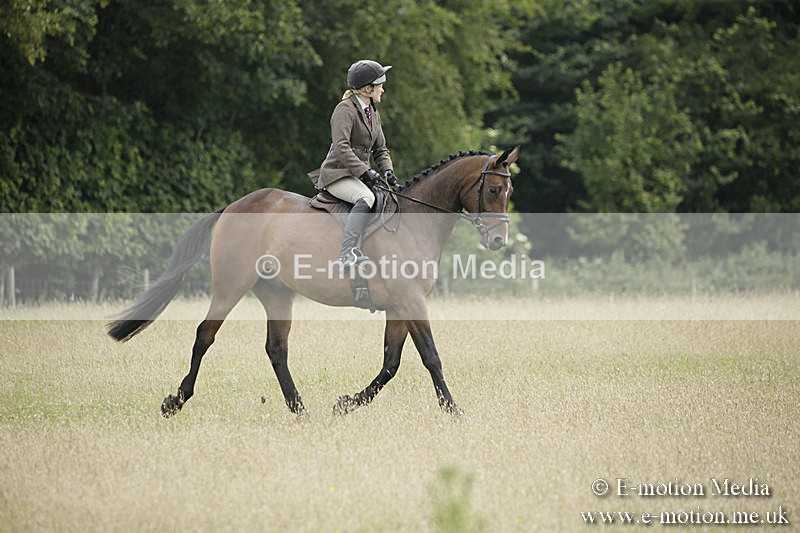 B230619-0413 - Bourne Valley Riding Club Summer Show 23/06/19
