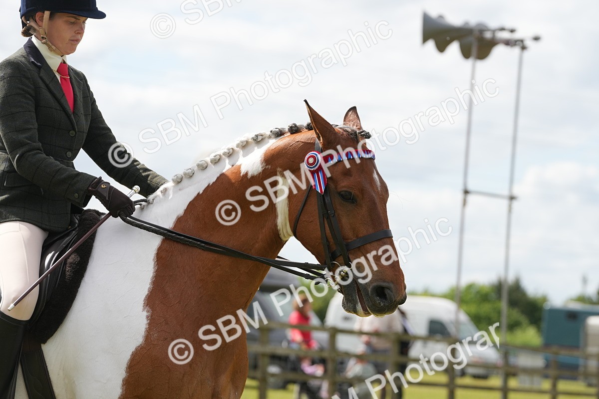 SBM_17609 - Class 107-108 - LIHS BSPS Performance Coloured Horse Pony