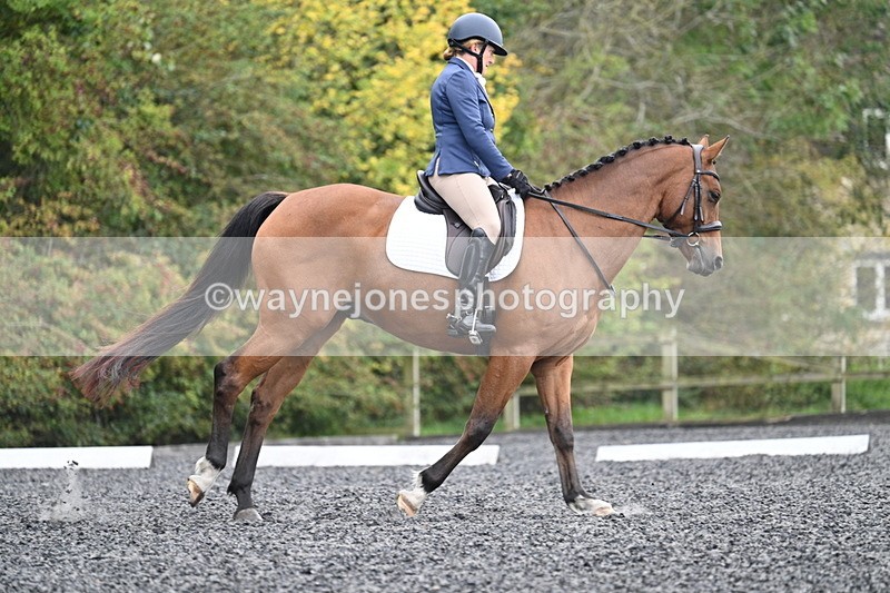 WJ7_4366 - Time 11:43 to 12:09