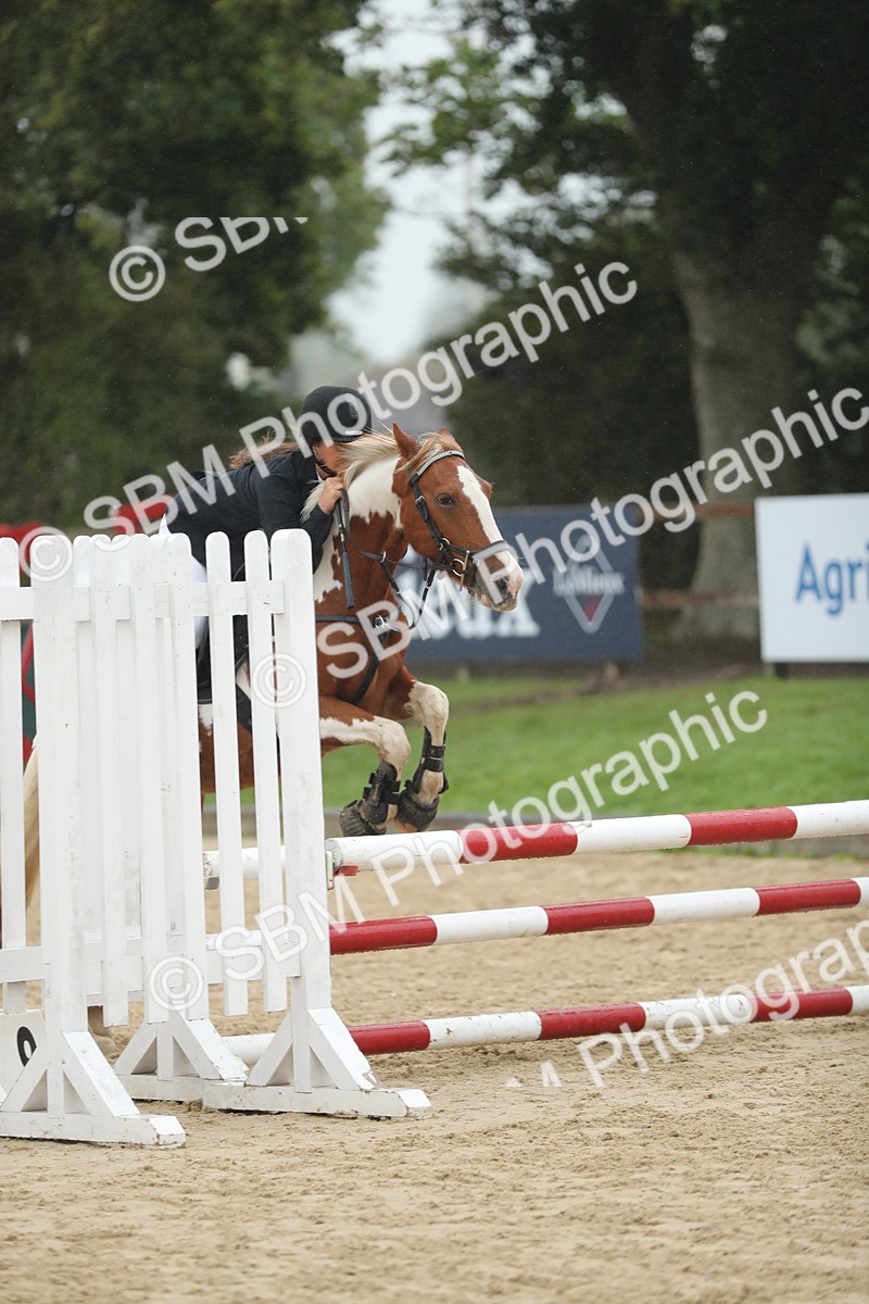 SBM_74070 - J16 - Junior Pony 75cm Championship