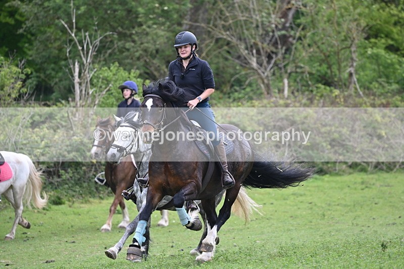 WJ6_3310 - A camera