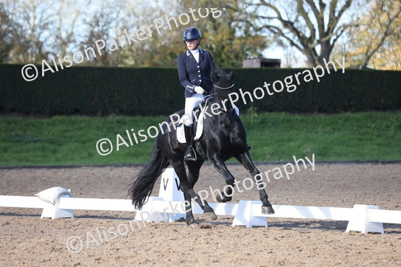 20251102-0556 - Class 3 - Novice 5