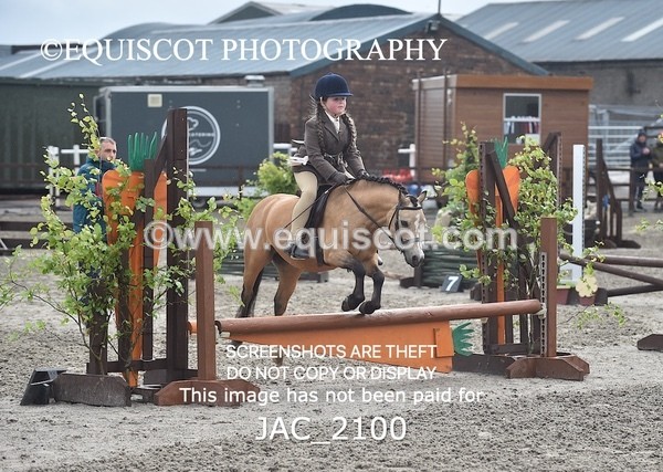 JAC_2100 - CLASS 1 Nursery Novice Working Hunter