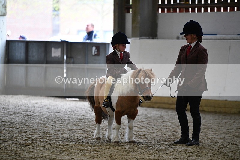 WJ5_6791 - Class 10 Childs Pony