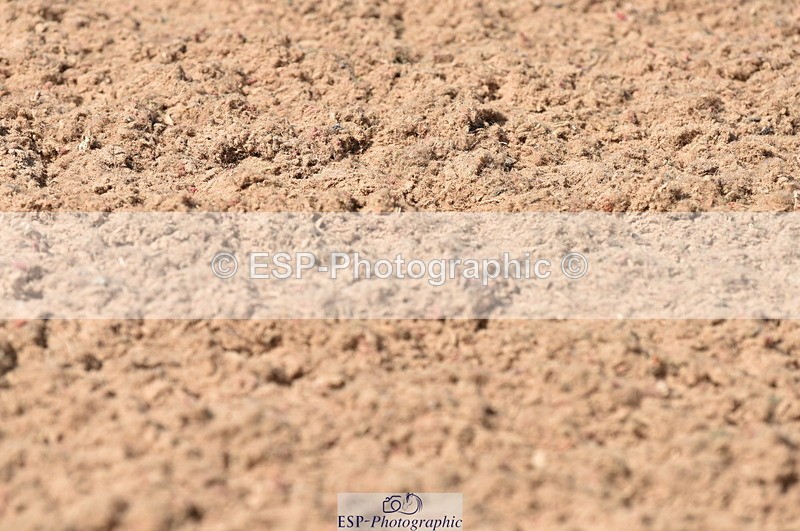 230810A-111858-00839 - Cls 9 Foxhunter