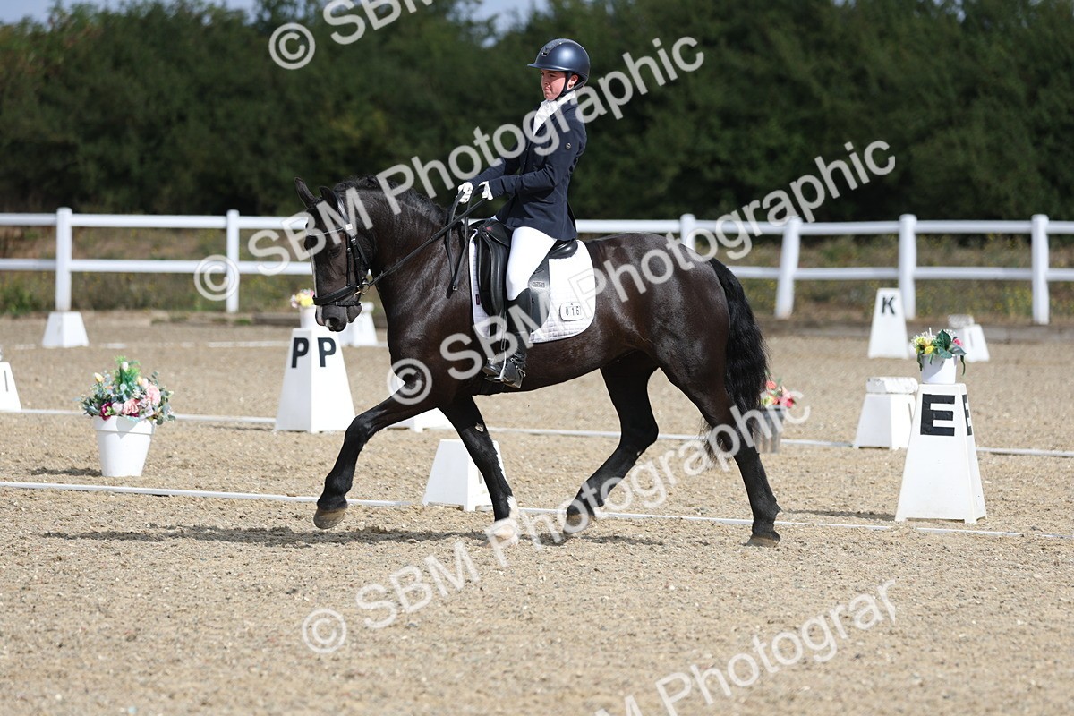 SBM_020331