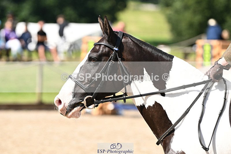 240824X-133025-28978 - 80cm Round 2 13.30 to 14.30