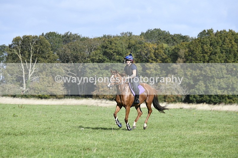 _DSC6216 - Time 11:23 to 12:05