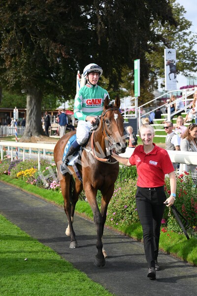 yr04092022r6-50 - Race 6 4.40pm Hanson Springs Stakes