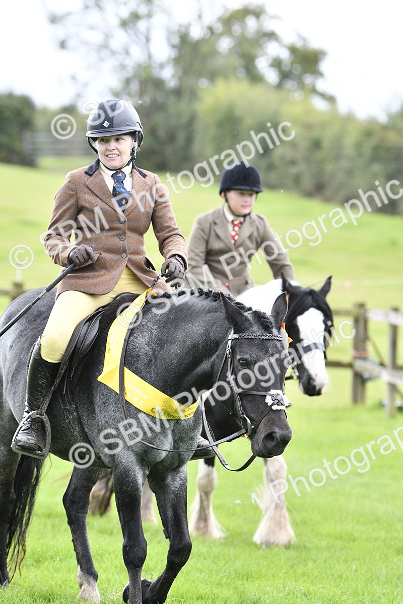 SBM_38316 - S31 - Novice & Newcomer Working Hunter Pony