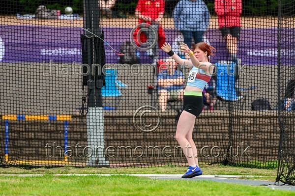 Sen25SAT-926787 - Field Female Set Two