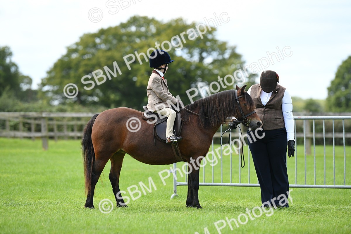 SBM_42456 - S20 - Lead Rein Mountain & Moorland Pony