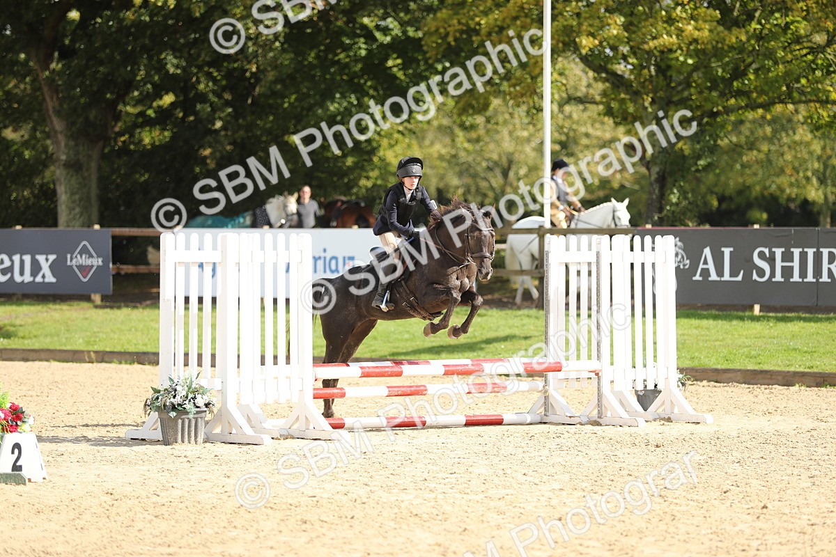 SBM_40237 - J21 - Junior Horse 60cm Championship