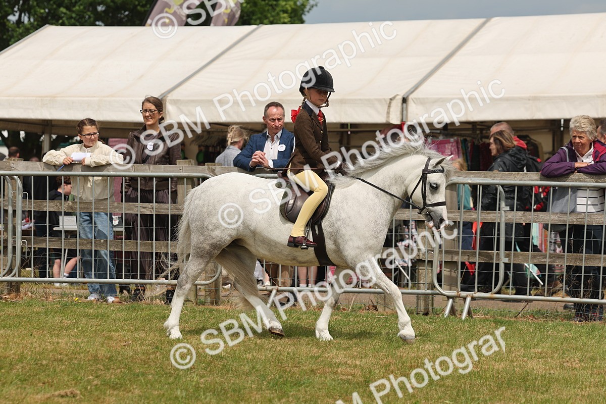 SBM_06859 - Class 74-75 - M&M Lead Rein and First Ridden Pony