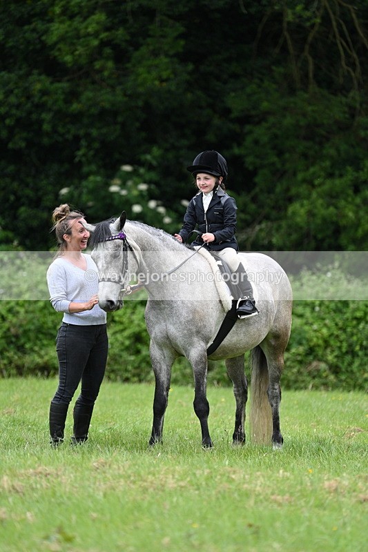 WJ7_4209 - Class 14A Handsome Gelding