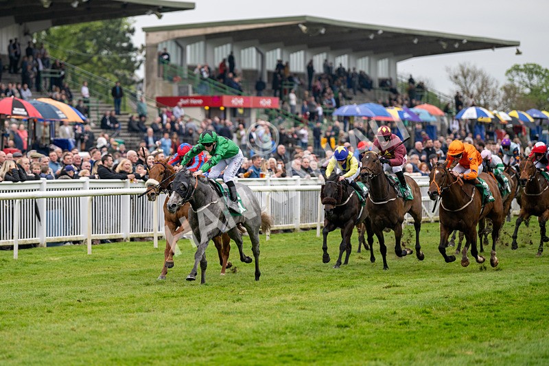 040524-Race 4-Star Of Lady M-4493 - Race 4