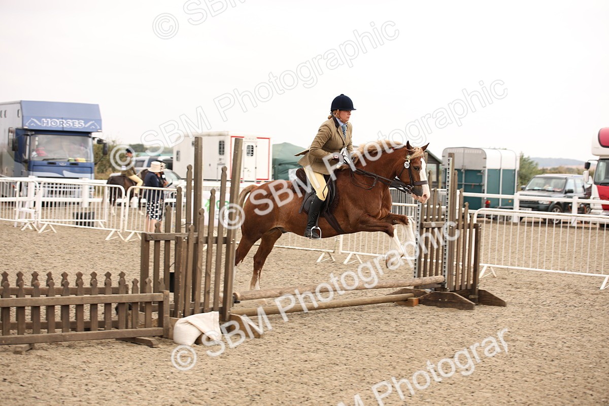 SBM_12594 - Class 405b - M&M Working Veteran 50cm 20+