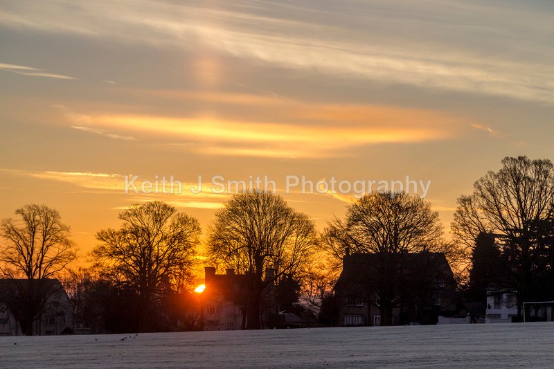 9KJS4024 - Trees in Abington Park