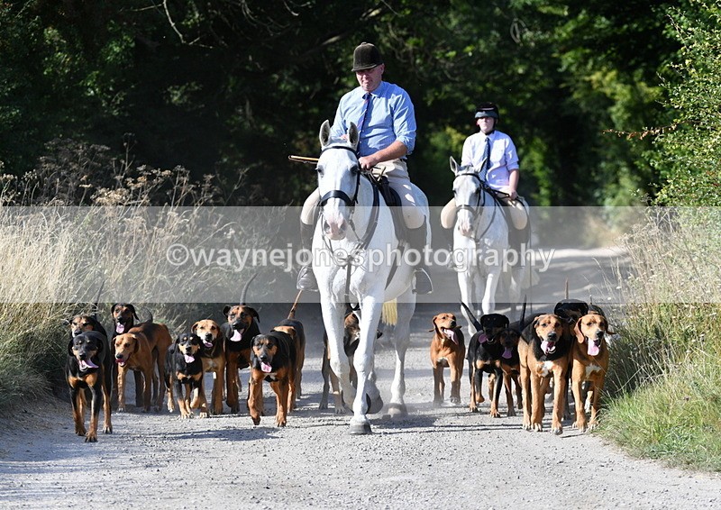 WJ5_4791 - Walk out with the hounds