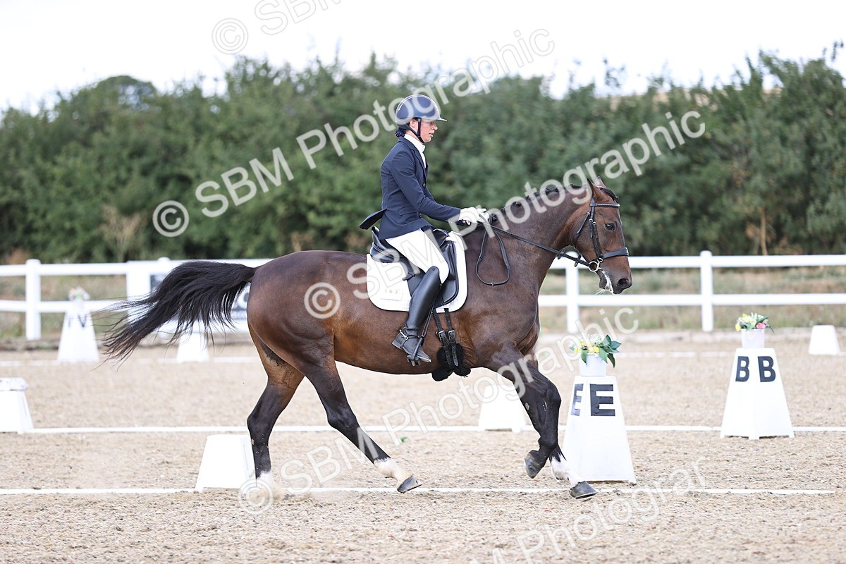 SBM_015288 - Class 5 - E5 Bronze 14.42.15.54