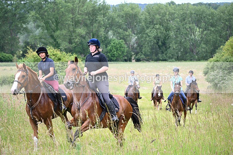 WJ6_8429 - Camera 1 Gallops