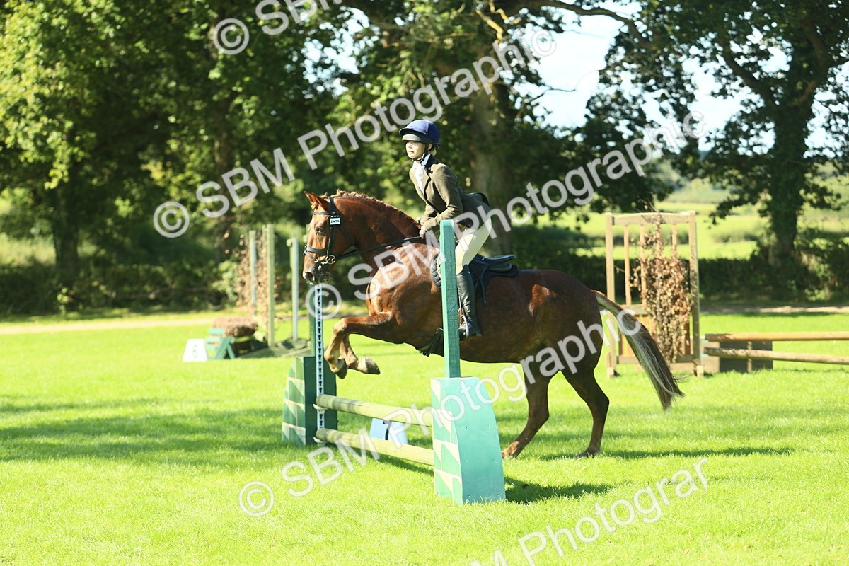 SBM_39160 - S29 - Novice & Newcomers Working Hunter Pony