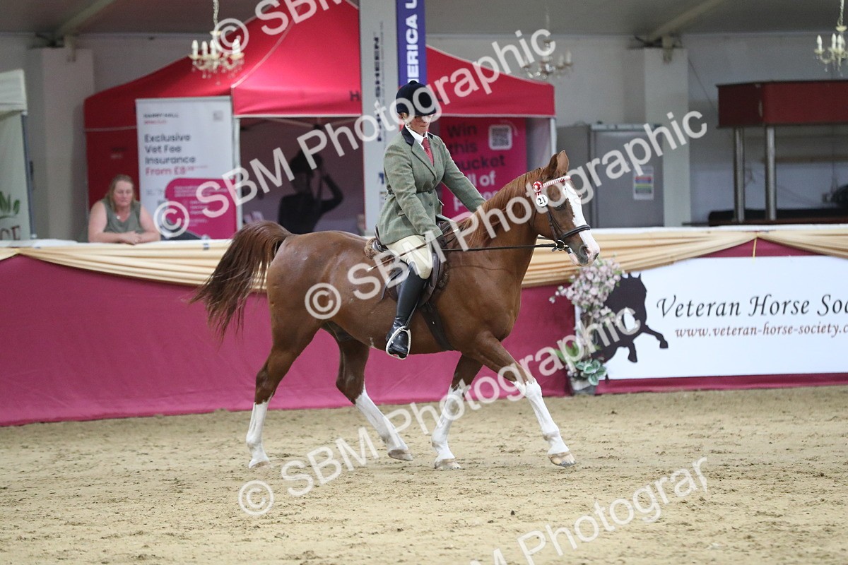 SBM_08448 - Class 11R Regional Ridden Veteran