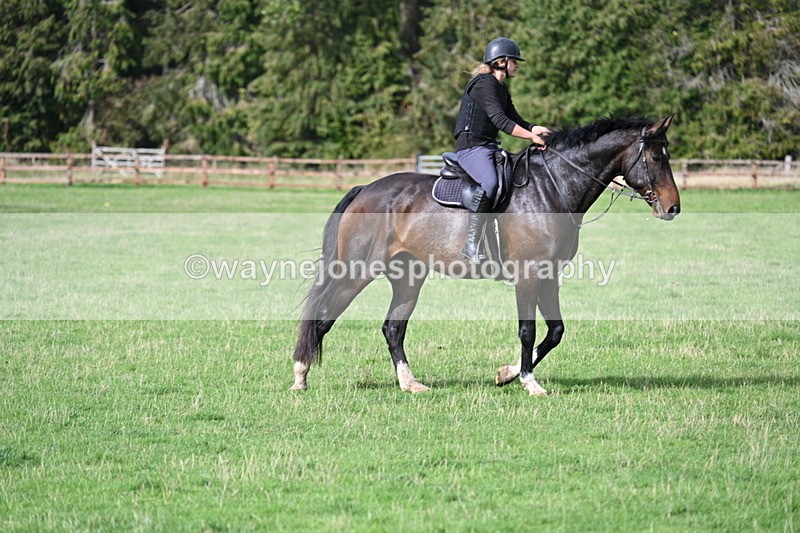 WJ7_9875 - Time 13:13 to 13:55