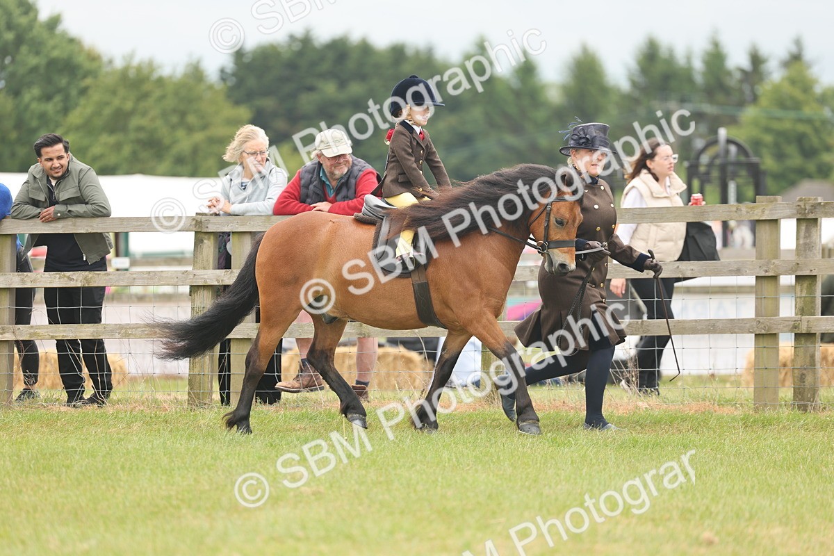 SBM_06710 - Class 74-75 - M&M Lead Rein and First Ridden Pony