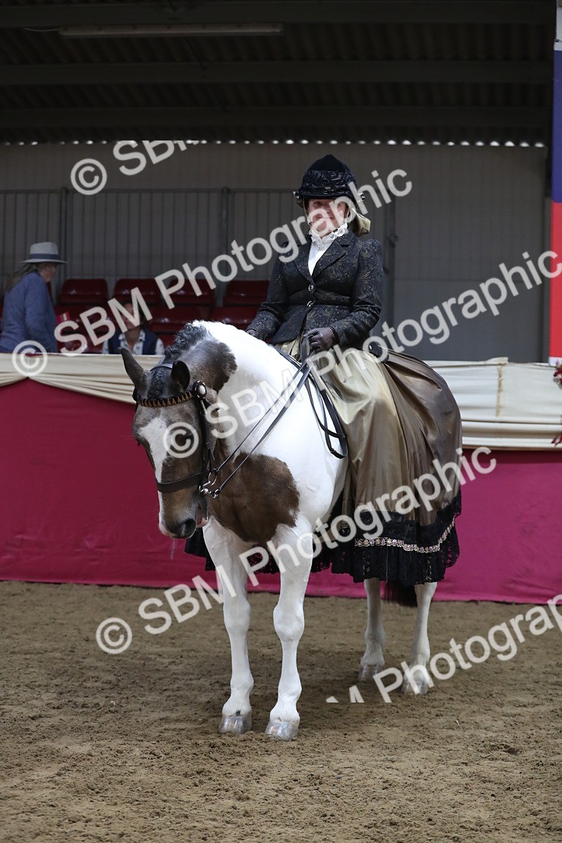 SBM_11285 - Class 104 Ridden Costume - Astride Junior
