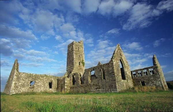 wide angle view of kilcrea friary, ovens, co. cork, ireland.